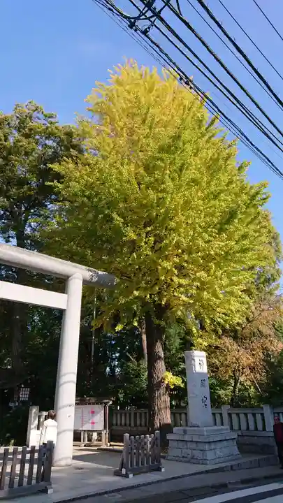 阿佐ヶ谷神明宮のその他建物