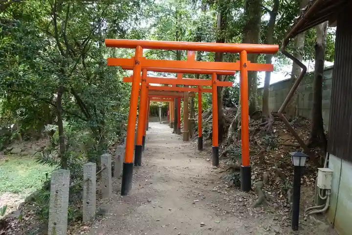 大井神社の鳥居