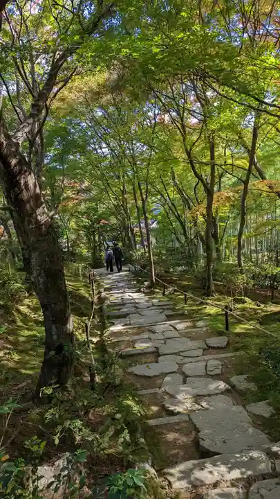 常寂光寺(京都府)
