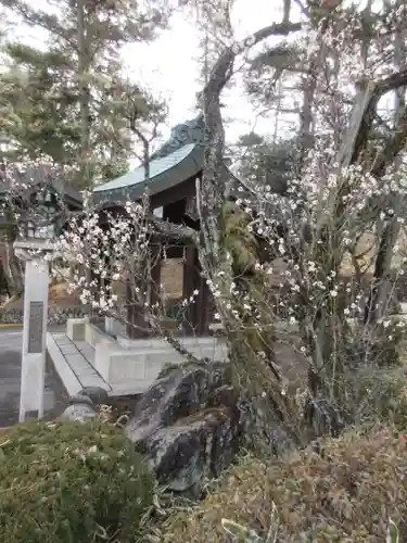 群馬県護国神社の手水