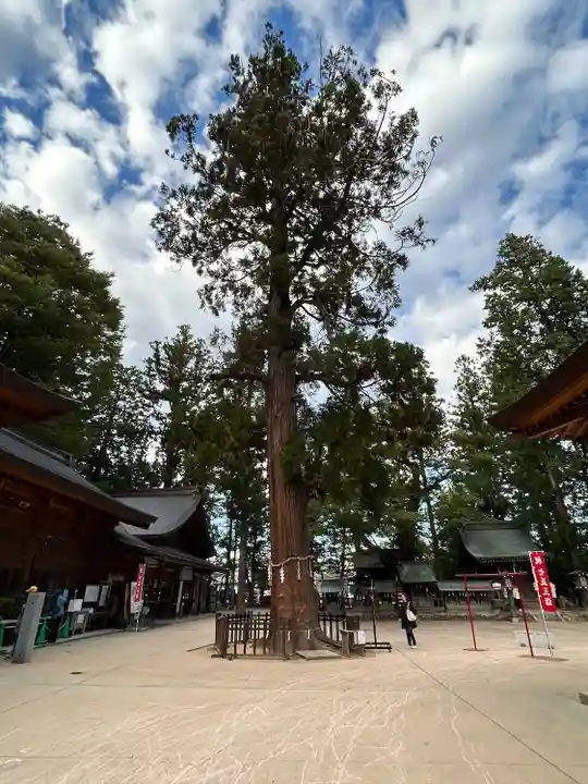 穂高神社本宮(長野県)