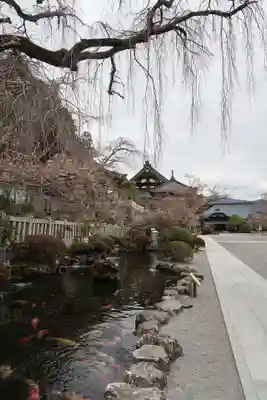 久遠寺(山梨県)