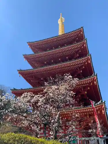 高幡不動尊　金剛寺(東京都)