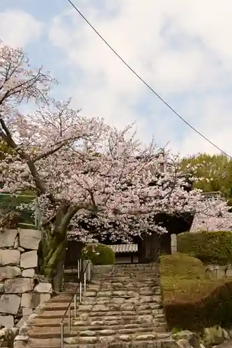 海禅寺(愛媛県)