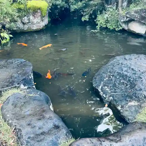 達磨寺(群馬県)