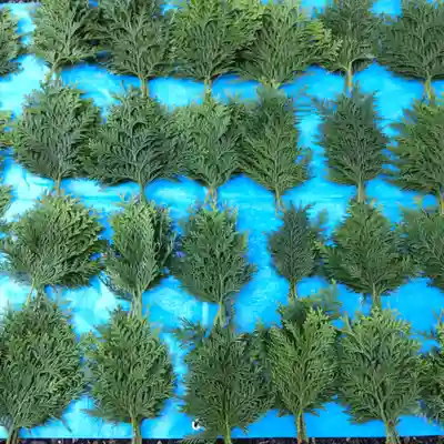 七重浜海津見神社(北海道)