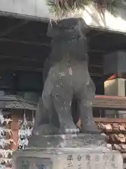 白石神社の狛犬