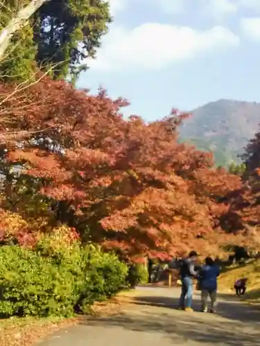 高源寺の自然