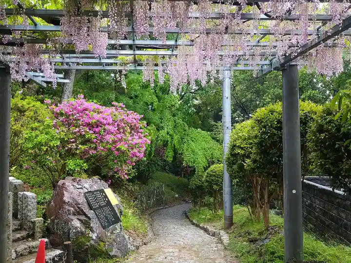 阿智神社の自然