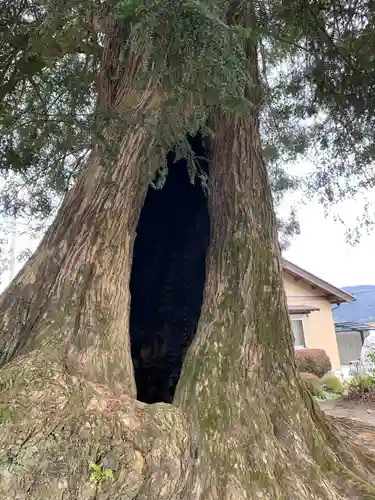 天猷寺の自然