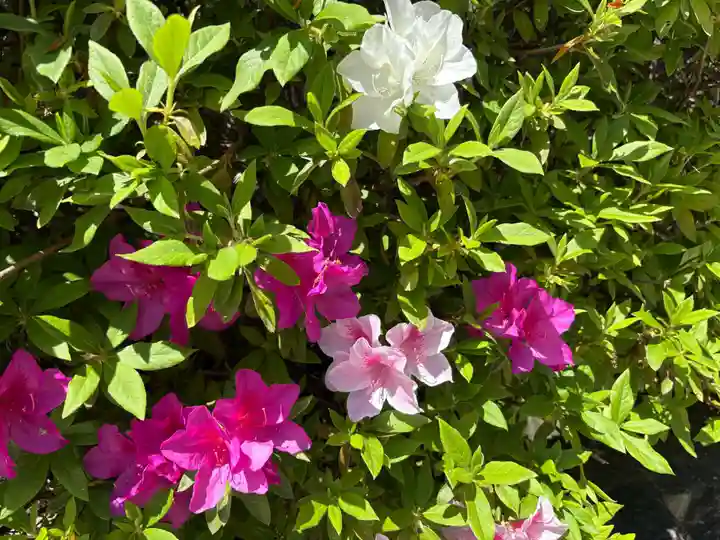 廣田神社(兵庫県)