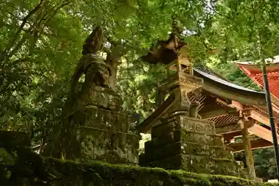 鰐淵寺(島根県)