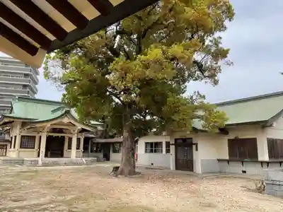 川嶋神社（川村町）(愛知県)