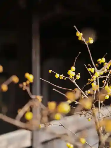 浄土寺(兵庫県)