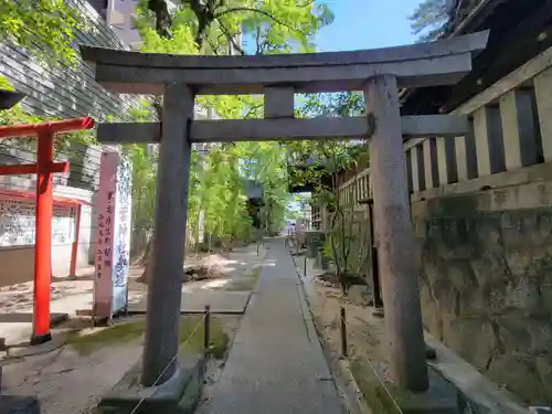 菅生神社の鳥居