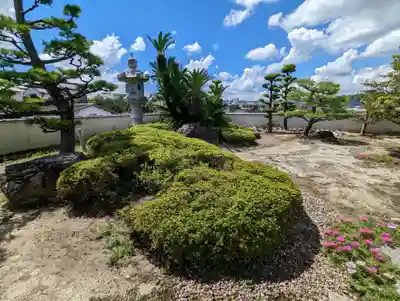 妙蓮寺(京都府)