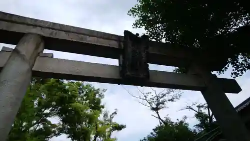 千住氷川神社の鳥居