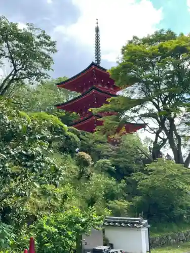 岡寺（龍蓋寺）の{uncategorized: "未分類", other: "その他", undefined: "問題あり", building: "その他建物", grave: "お墓", sacred_gate: "鳥居", guardian: "狛犬", statue: "像", buddha: "仏像", history: "歴史", nature: "自然", garden: "庭園", animal: "動物", pagoda: "塔", temizu: "手水舎", mountain_gate: "山門・神門", sanctuary: "本殿・本堂", subordinate: "末社・摂社", art: "芸術", scenery: "景色", jizo: "地蔵", ema: "絵馬", goshuin: "御朱印", omikuji: "おみくじ", items: "授与品その他", amulet: "お守り", goshuincho: "御朱印帳", eats: "食事", festival: "お祭り", votive_dance: "神楽", shichigosan: "七五三参", wedding: "結婚式", experience: "体験その他", initially: "初詣", around: "周辺", anti_infection: "感染症対策"}