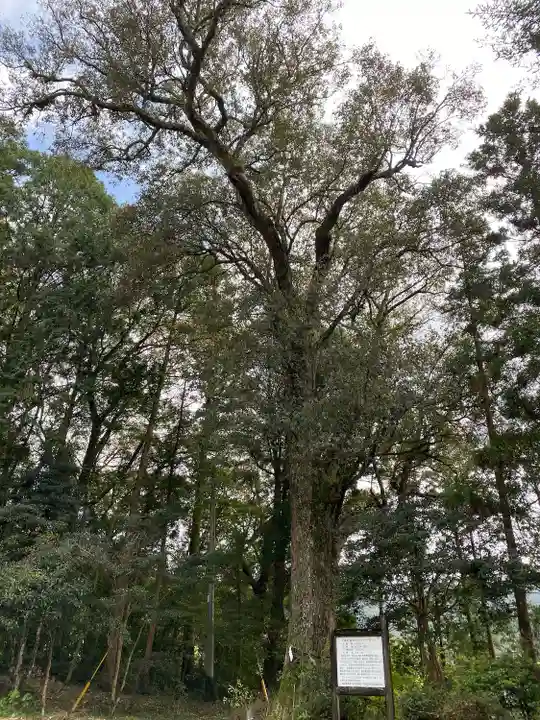 高知座神社(高知県)