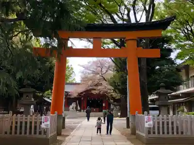 旗岡八幡神社の鳥居