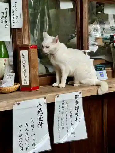 梅宮大社(京都府)