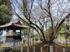 願成寺(岐阜県)