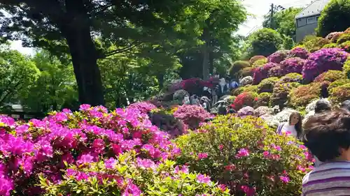 根津神社の庭園