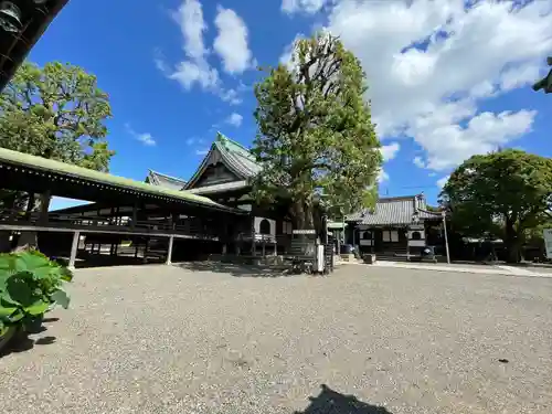 題経寺（柴又帝釈天）(東京都)