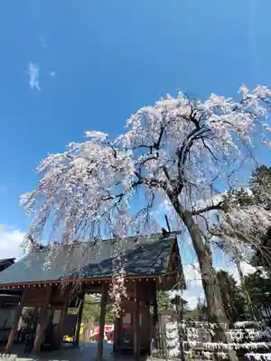 開成山大神宮(福島県)