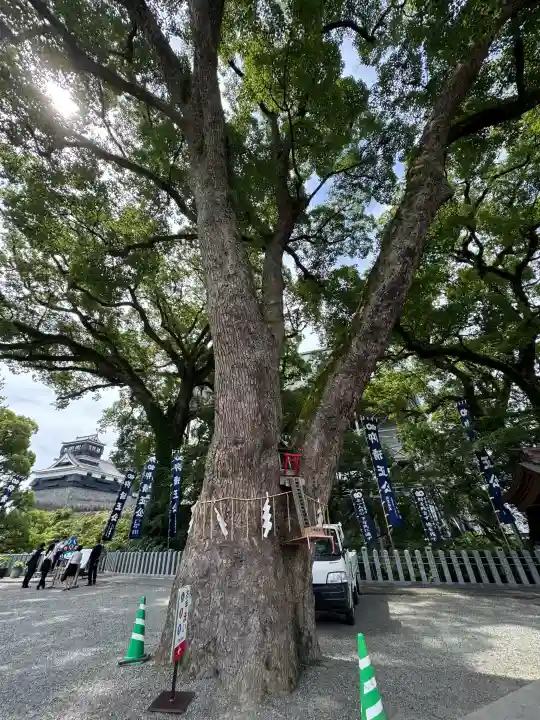 加藤神社(熊本県)