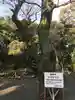埴生神社(福岡県)