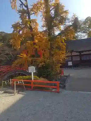 賀茂御祖神社（下鴨神社）(京都府)