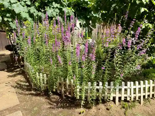 福王山  慈眼寺(東京都)