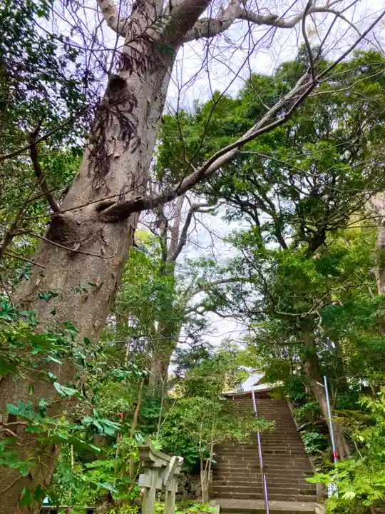 神崎神社(千葉県)