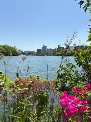 洗足池弁財天(東京都)