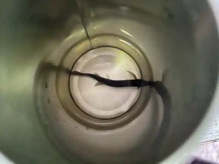 瀧谷不動尊 明王寺(大阪府)