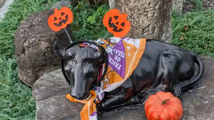 大松禅寺(京都府)
