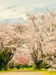 女化神社の自然