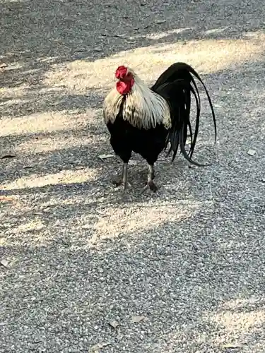 熱田神宮の{uncategorized: "未分類", other: "その他", undefined: "問題あり", building: "その他建物", grave: "お墓", sacred_gate: "鳥居", guardian: "狛犬", statue: "像", buddha: "仏像", history: "歴史", nature: "自然", garden: "庭園", animal: "動物", pagoda: "塔", temizu: "手水舎", mountain_gate: "山門・神門", sanctuary: "本殿・本堂", subordinate: "末社・摂社", art: "芸術", scenery: "景色", jizo: "地蔵", ema: "絵馬", goshuin: "御朱印", omikuji: "おみくじ", items: "授与品その他", amulet: "お守り", goshuincho: "御朱印帳", eats: "食事", festival: "お祭り", votive_dance: "神楽", shichigosan: "七五三参", wedding: "結婚式", experience: "体験その他", initially: "初詣", around: "周辺", anti_infection: "感染症対策"}