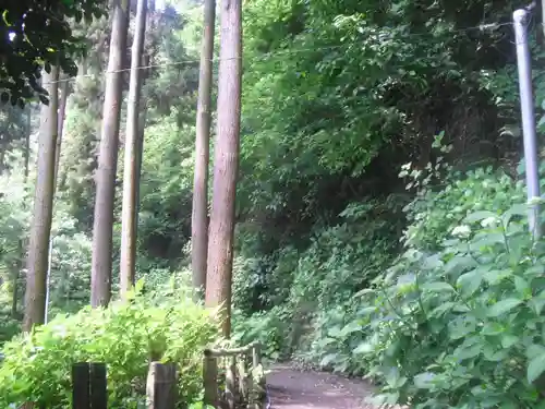 御霊神社の自然