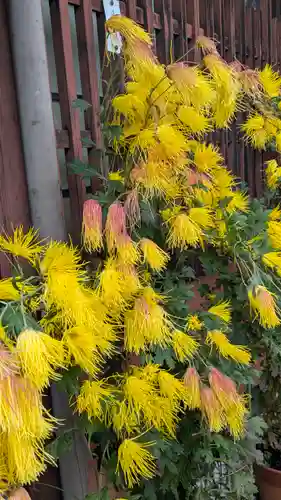 三千院門跡(京都府)
