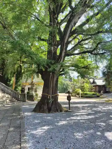 和霊神社(愛媛県)