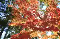 唐招提寺(奈良県)