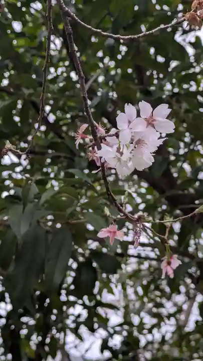興聖寺(京都府)