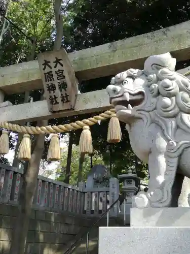 大宮・大原神社の狛犬