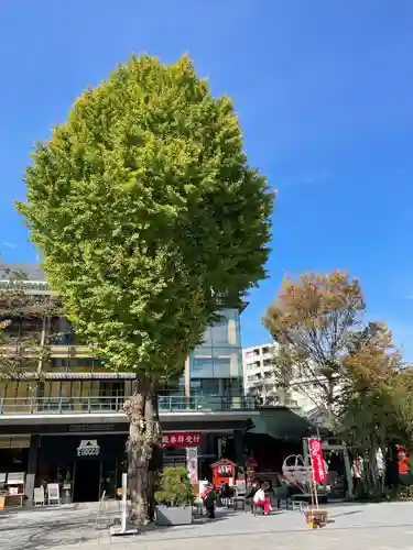 神田神社（神田明神）の自然