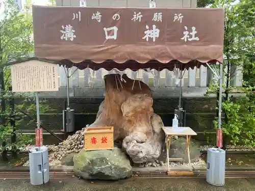 溝口神社(神奈川県)