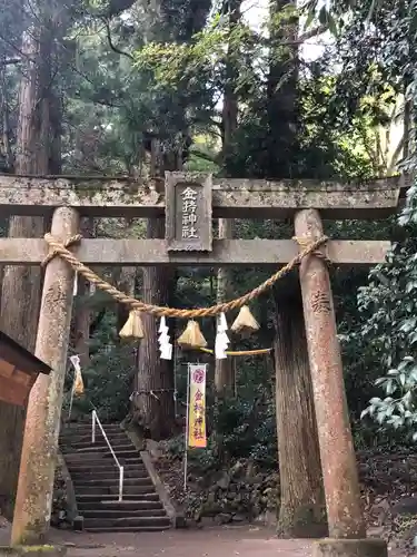 金持神社の鳥居