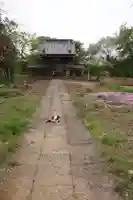 宗悟寺(埼玉県)