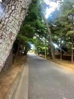 豪徳寺(東京都)